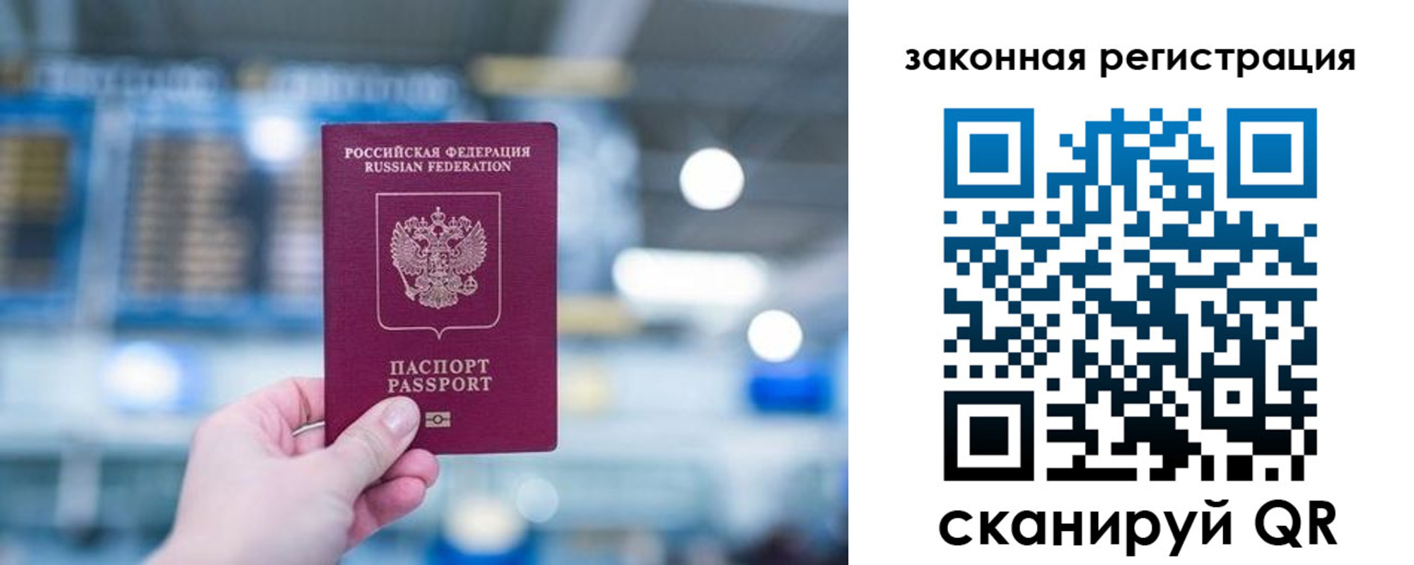 прописка поиск в Павлово